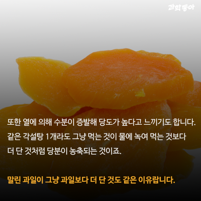 (주)동아사이언스 제공